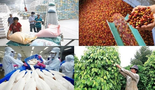 Thêm cơ hội vay vốn ưu đãi ngành nông, lâm, thủy sản