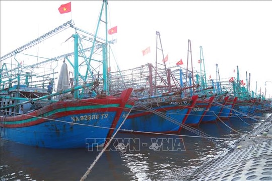 Nghệ An: Cấm các loại tàu thuyền ra khơi từ 5 giờ ngày 27/9