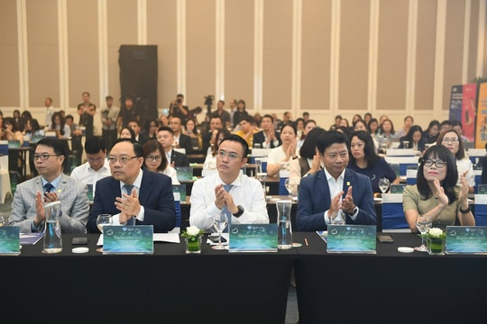 Đã thu thập được khoảng 600.000 tài khoản có nghi ngờ gian lận