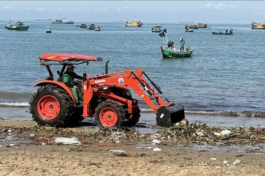 Chung tay thu gom rác tại các bãi tắm của TP Hồ Chí Minh