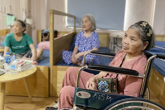 Việt kiều hồi hương 'đi lớp' dưỡng già