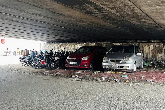 TP HCM đề xuất tận dụng gầm cầu làm bãi giữ xe