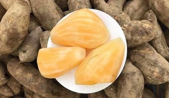 Sâm đất - Món quà từ lòng đất ăn giòn ngon lại mát, để càng lâu càng ngọt