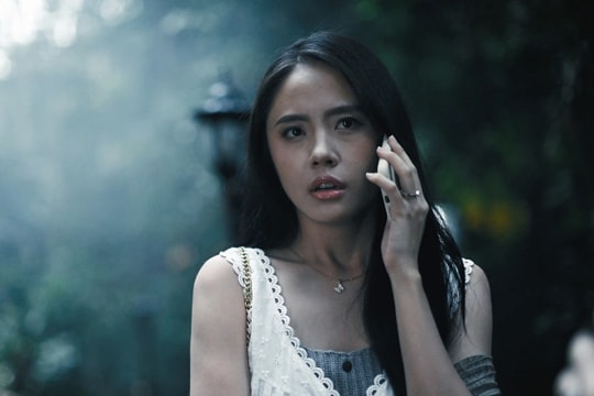 Phim 18+ của Rima Thanh Vy rời rạp