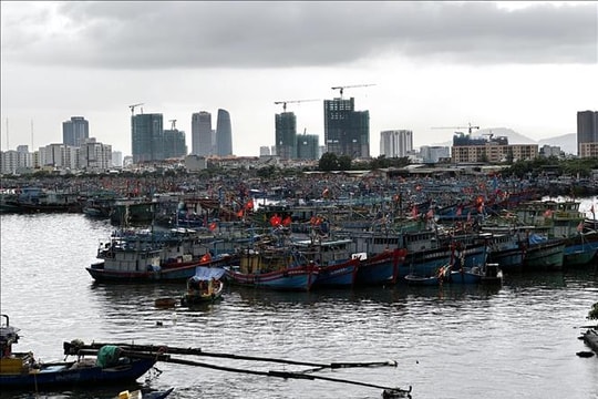 Ứng phó bão số 10: Đà Nẵng dự kiến di dời trên 210.000 dân đến nơi an toàn