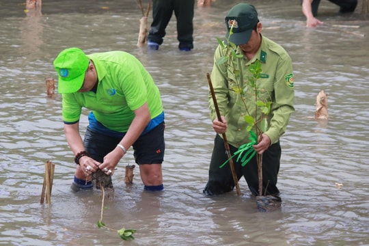 Cà Mau phát động trồng rừng ngập mặn, xây dựng ‘Điểm đến xanh’