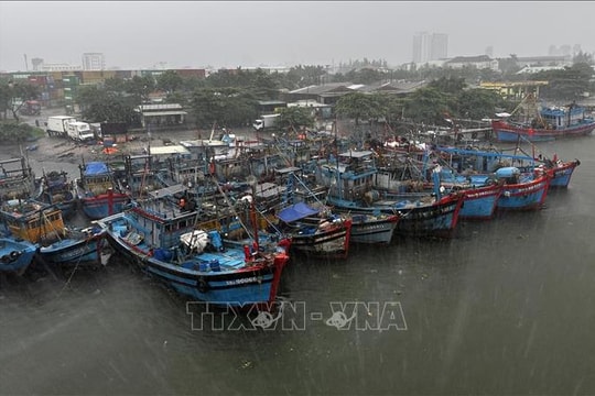 Đảm bảo an toàn tàu thuyền và hệ thống đê điều ứng phó với bão số 10 và mưa lũ