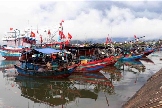 Ứng phó bão số 10: Hà Tĩnh cấm biển từ sáng 27/9