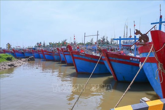 Các địa phương từ Ninh Bình đến Huế cấp bách ứng phó bão số 10