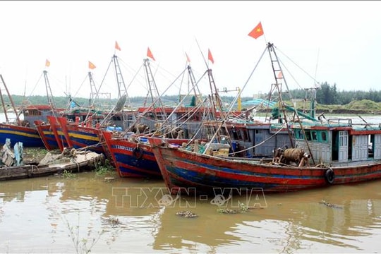Hưng Yên hoàn thành sắp xếp tàu thuyền tránh trú bão trước 16 giờ ngày 27/9