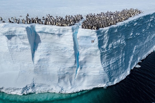 Giới phân tích phản ứng việc ông Trump gọi biến đổi khí hậu là 'trò lừa bịp'