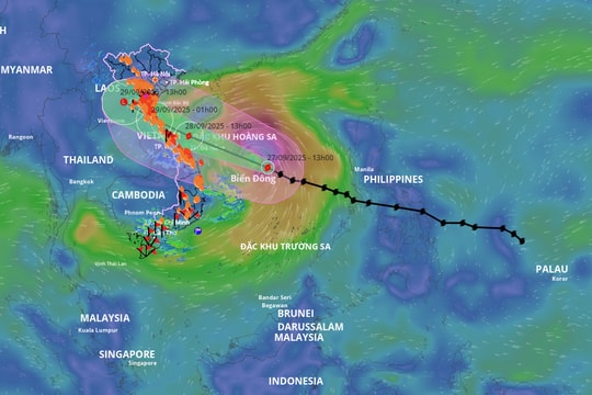 Vì sao bão Bualoi đi nhanh bất thường?