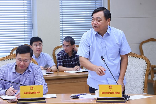 Bão vào lúc triều cường, sóng biển có thể dâng cao 5-7 m