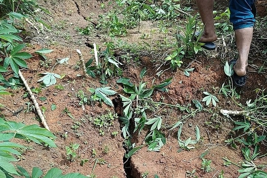 Di dời 54 người dân vì vết nứt dài 200 m trên đồi