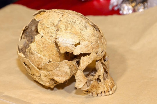 Phát hiện di cốt 'chiến binh' hơn 12.000 năm tại Tràng An