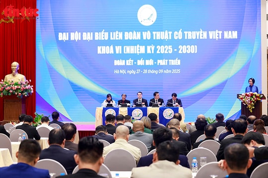 Ông Nguyễn Ngọc Anh tái cử chức Chủ tịch Liên đoàn Võ thuật cổ truyền Việt Nam