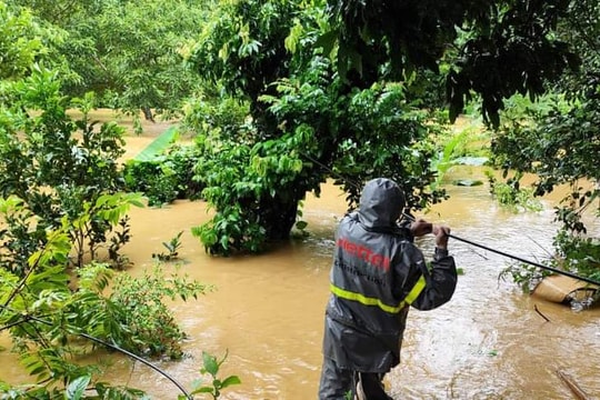 Nhà mạng củng cố hạ tầng, ứng cứu thông tin khi bão số 10 đổ bộ