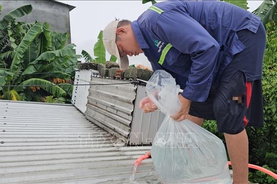 Huế: 75 ngôi nhà bị tốc mái, yêu cầu người dân hạn chế ra đường