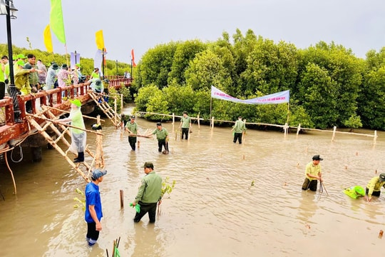 Phát triển thương hiệu du lịch Cà Mau trong tổng thể du lịch quốc gia