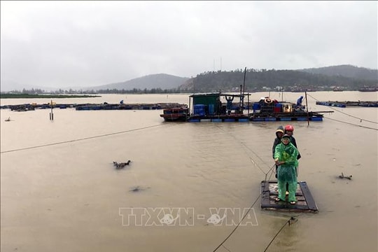 Toàn bộ học sinh Nghệ An nghỉ học trong ngày mai 29/9