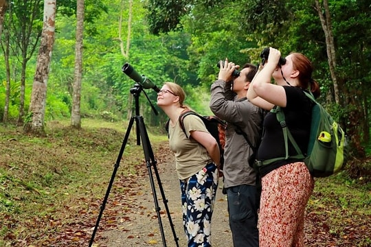 Các điểm ngắm và săn ảnh chim quý hiếm khắp Việt Nam