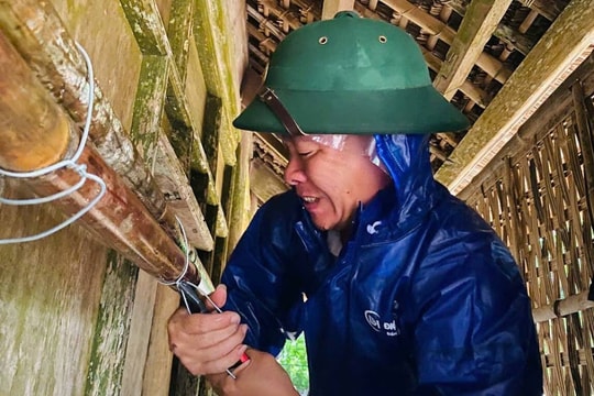 Khu du lịch, nhà hàng, khách sạn chống bão Bualoi