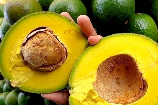 Điều gì xảy ra với đường huyết khi ăn quả bơ?