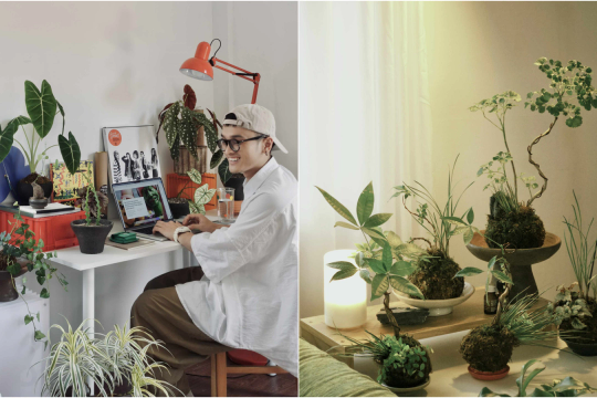 Thú chơi cây cảnh mini kiểu mới của giới trẻ