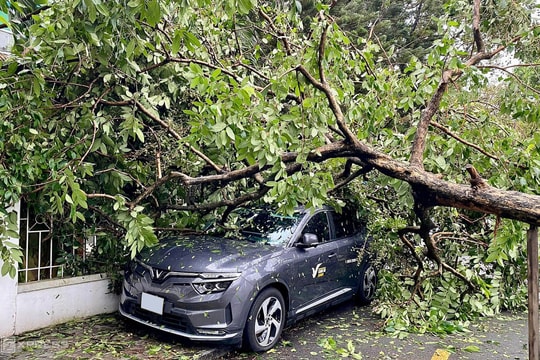 30 phút chuẩn bị giúp ôtô an toàn hơn trong bão