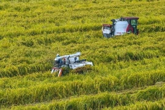 Trung Quốc ứng dụng AI cách mạng hóa trồng trọt