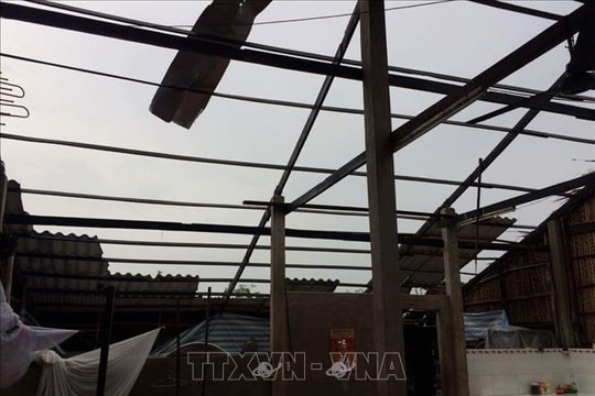 Bão số 10: 4 người tử vong do mưa bão tại Ninh Bình