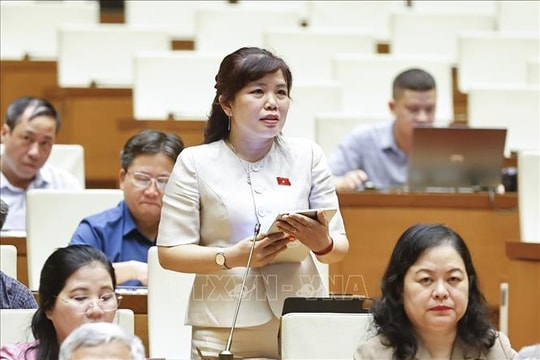 Làm rõ vai trò giáo dục nghề nghiệp trong định hướng phân luồng học sinh