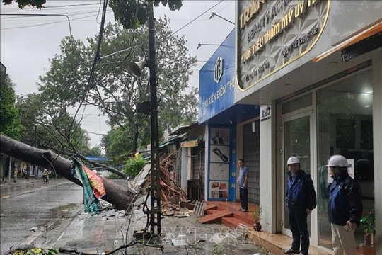 Bão số 10: Điện lực Thanh Hóa xử lý nhanh sự cố, khôi phục điện sớm