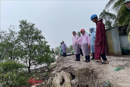 Vĩnh Long nhiều tuyến đê bao ven sông Cổ Chiên sạt lở nghiêm trọng