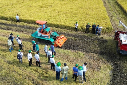 Quảng Trị: Từ nông thôn mới đến thông minh