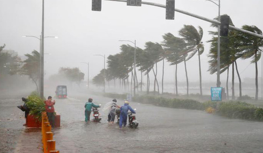 Bộ Y tế chỉ đạo ứng phó, phòng chống dịch bệnh sau bão