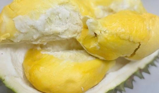 Lão nông miền Tây trồng được giống sầu riêng lạ, bán 700.000 đồng/kg