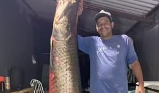 Ngư dân bắt được con cá hải tượng long khổng lồ nặng 130kg trên sông