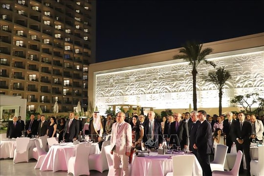 Thúc đẩy hợp tác Việt Nam - Ai Cập theo hướng toàn diện và thực chất