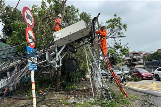 Nhiều địa phương bị thiệt hại nặng do ảnh hưởng của bão số 10