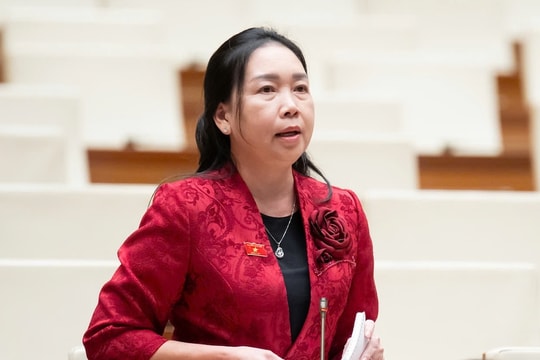 Đề xuất mở rộng bảo hiểm vàng, USD gửi tại ngân hàng