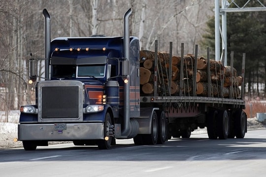 Tổng thống Mỹ áp thuế 10% với gỗ nhập khẩu