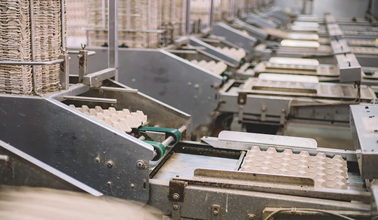 Mỹ áp thuế "kép" với sản phẩm đúc bằng sợi Việt Nam