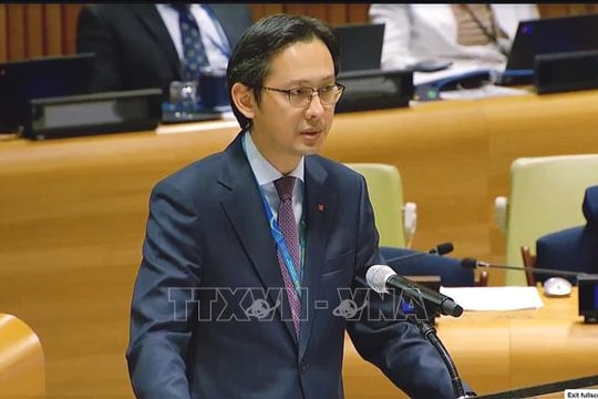 Việt Nam kêu gọi cộng đồng quốc tế hành động để xóa bỏ hoàn toàn vũ khí hạt nhân