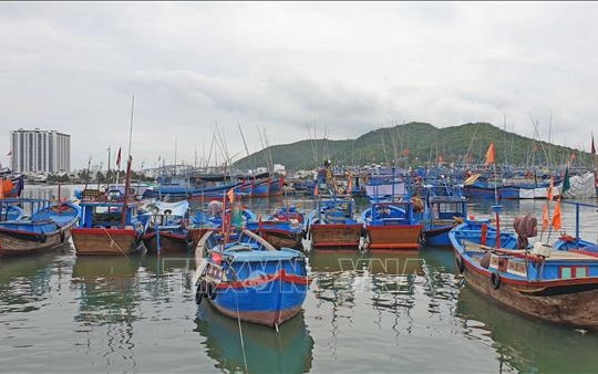 Khánh Hòa giám sát chặt tàu cá, xử lý nghiêm vi phạm IUU