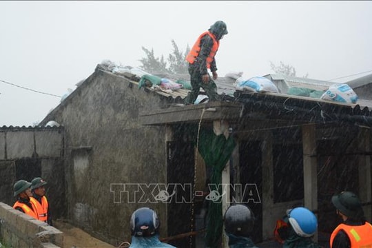 Ảnh hưởng bão số 10: 9.985 ha thủy sản bị thiệt hại, các địa phương hướng dẫn phục hồi sản xuất