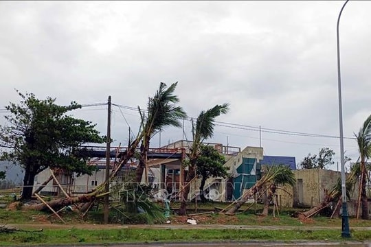 Khẩn trương chi trả bồi thường cho người tham gia bảo hiểm sau bão số 10