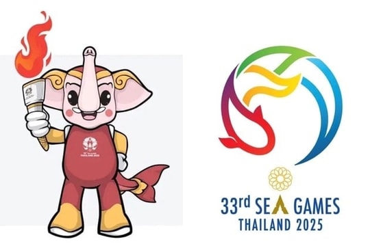Các môn xã hội hóa tích cực chuẩn bị cho SEA Games 33
