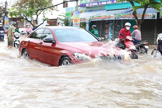 Kiểm tra ôtô sau bão: việc nào tự làm, việc nào cần gara?