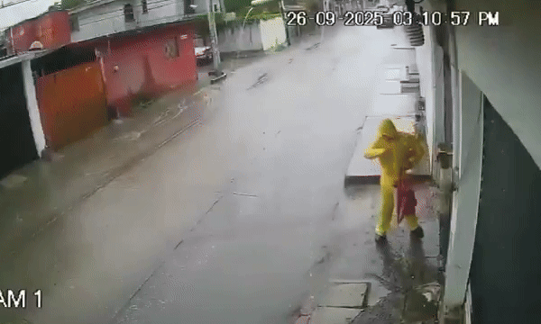 Xe tải tạt nước lên người đi bộ dù được ra hiệu